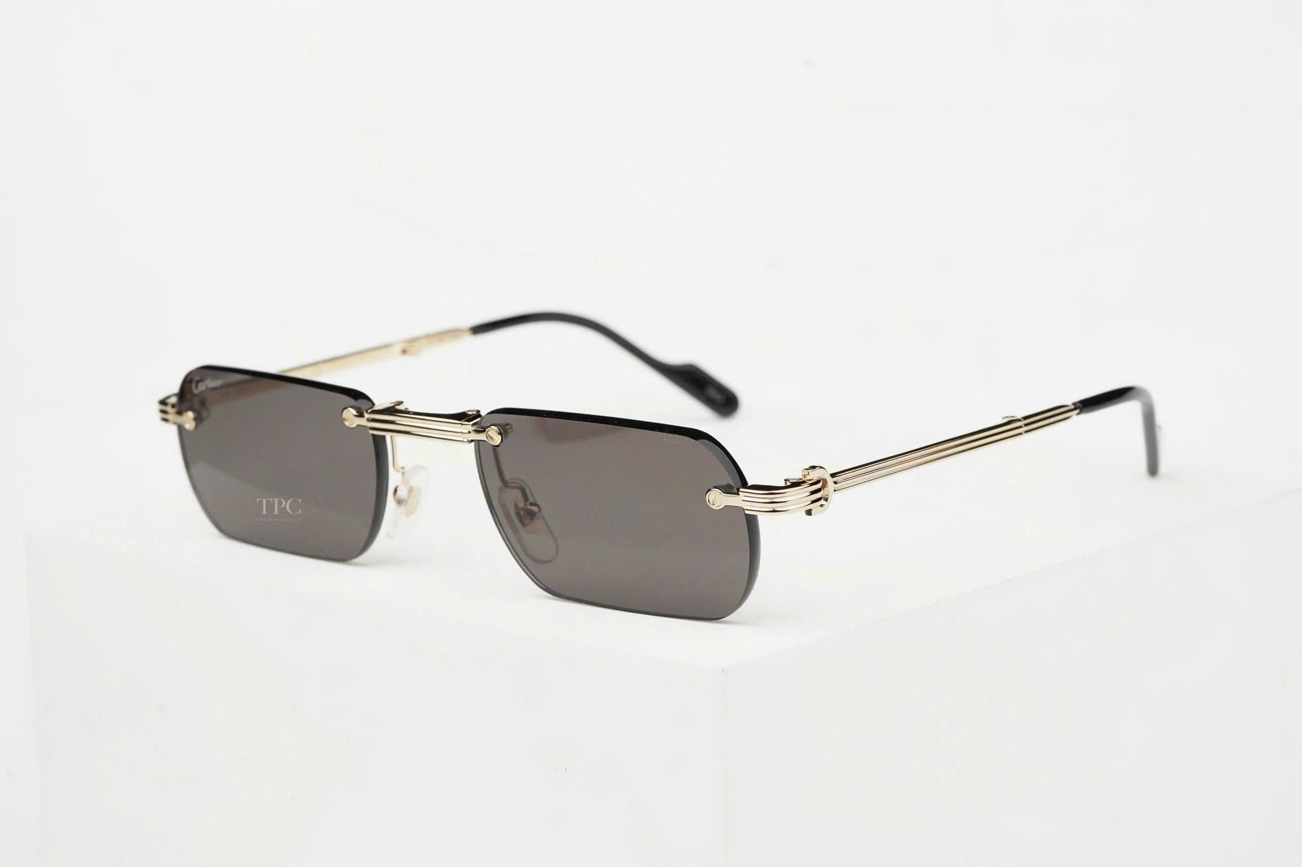 Cartier CT0499S-001 Sunglass